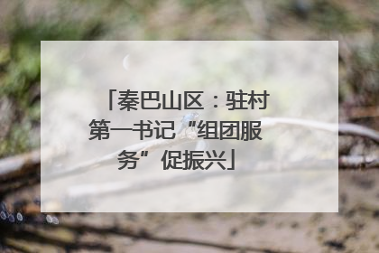 秦巴山区：驻村第一书记“组团服务”促振兴